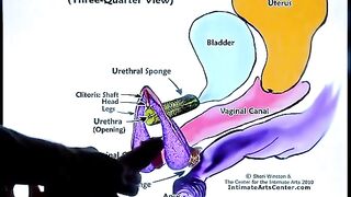 Squirting tutorial 2: How to squirt like a pro with Mr PussyLicking