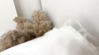 Sniffed panties and fucked curva in wet pussy by Real Orgasm