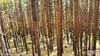 Girl was fucked hard in the woods by a guy
