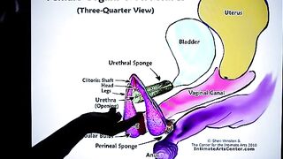 How to Squirt?! The ultimate guide by Mr PussyLicking, your go-to for intense, wet action!