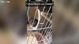 A couple has sex in a capsule hostel and continues their journey