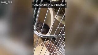 A couple has sex in a capsule hostel and continues their journey