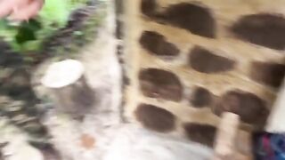 Sexual couple caught having sex in the middle of the jungle