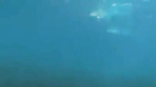 Aqualangists have passionate sex right in the water