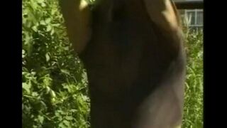 Fingered his long dick in the hayloft, just like a pro