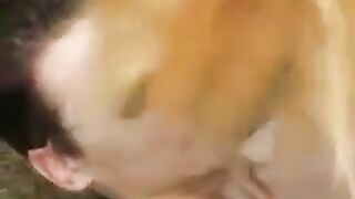 Young girl was fucked by a guy in the park, she liked it
