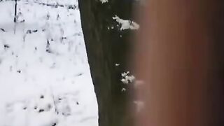 The guy tried to freeze the dick and pussy of the girl in a daring stunt