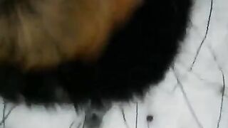 Winter blowjob on the street - girl knows how to make money