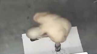 A man has no shame and showers on a hidden camera