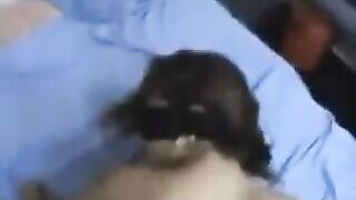 A bent girl has an anal sex with her boyfriend