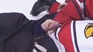 Hockey fan offered the player her ass at the stadium during the break