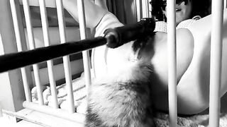 A day in the life of a Kitten: Ep.1 - Squirting on her tail, a thrilling scene!