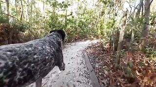 A hot guy had fun with a girl in the jungle