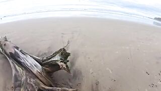The beach is always damp – from the water and because of it